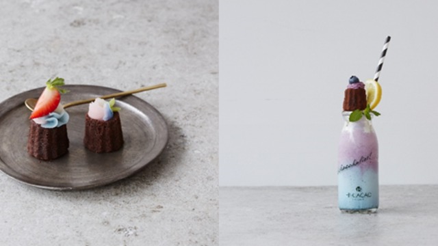 初コラボ Litt Up Kyoto Hi Cacao Chocolate Stand ルトロン