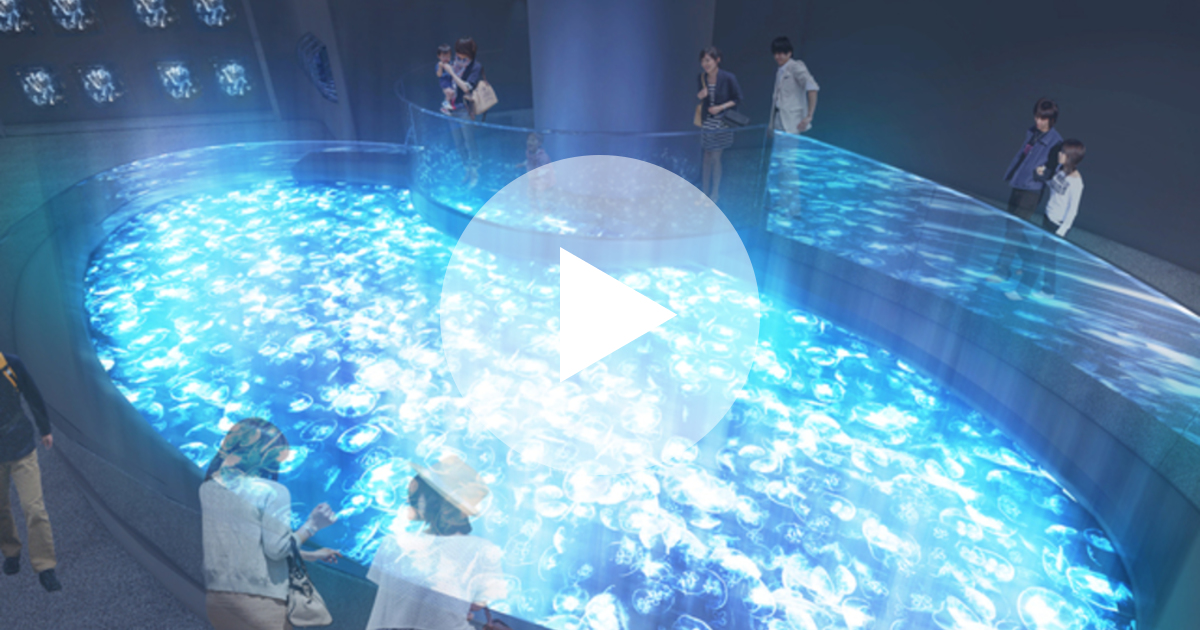 すみだ水族館 のクラゲを観察できる新しい クラゲエリア が誕生 ルトロン
