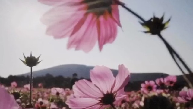 彼氏とのデートスポットに 友達と映え旅に 気分転換に オススメのスポット 萌の里 ルトロン