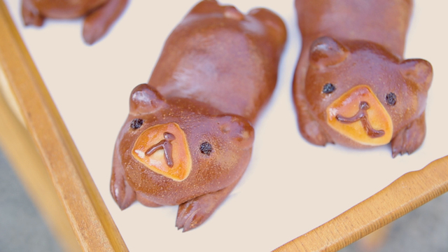 三鷹で話題 パン屋さん ここね の柔らかくまクリームパン ルトロン 三鷹で話題 パン屋さん ここね の柔らかくまクリームパン ルトロン