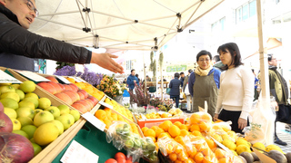 週末に開催される都会のマルシェ。「Farmer's Market@UNU」