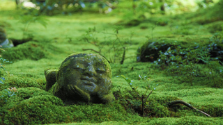 神秘的な空間で身も心も癒される! 「三千院」の苔庭とわらべ地蔵のある風景