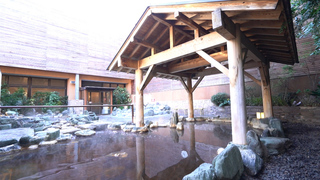 喧騒から離れた都会のオアシス「美しの湯」で、心も身体も癒やされる