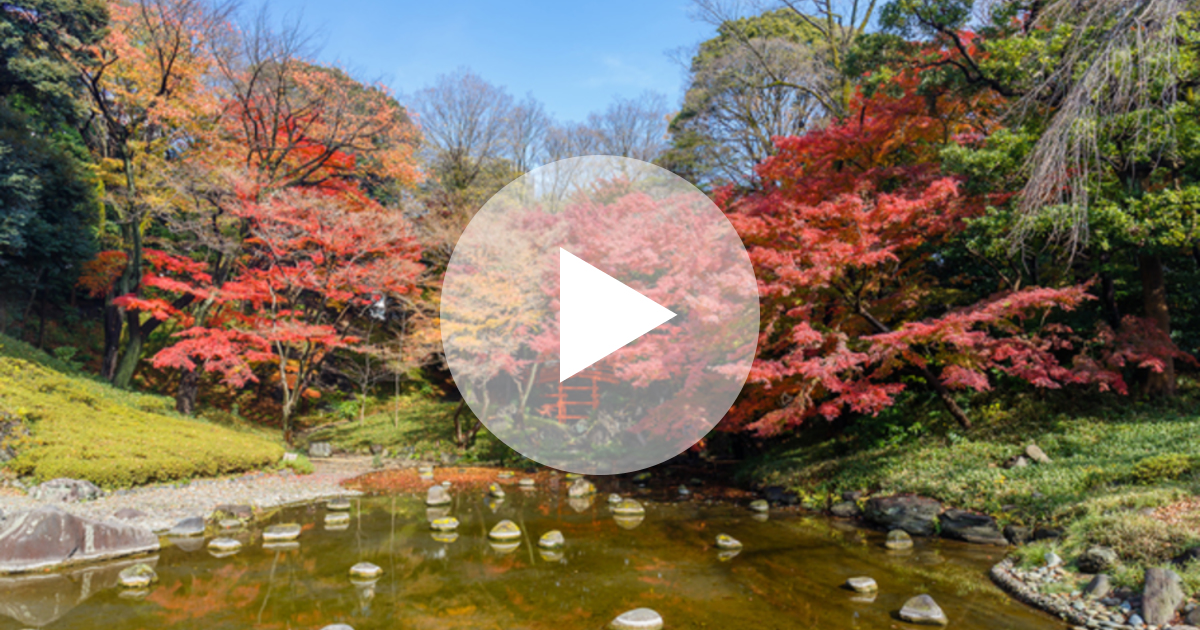 東京紅葉スポット 庭園を巡る紅葉鑑賞が魅力 六義園コース ルトロン