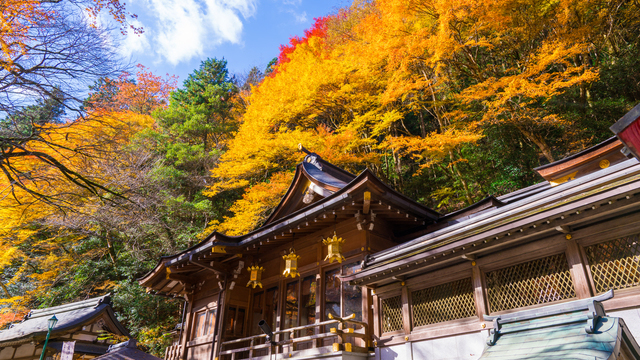 京都紅葉スポット】洛北で紅葉の名所を巡る「貴船神社コース」  ルトロン