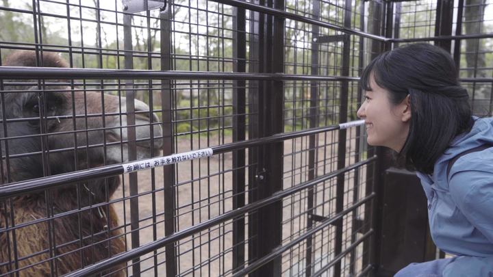 猛獣が頭上に 静岡 富士サファリパーク サファリゾーン ルトロン