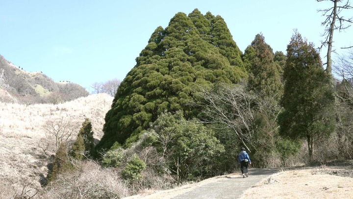 熊本県阿蘇のパワースポット 上色見熊野座神社 で幻想世界へ ルトロン