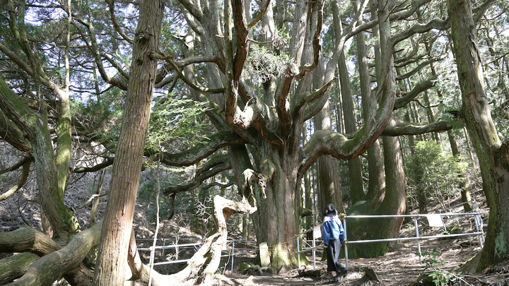 熊本県阿蘇のパワースポット 上色見熊野座神社 で幻想世界へ ルトロン