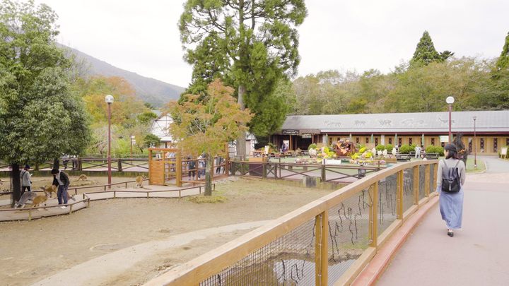 静岡 富士サファリパーク ふれあいゾーン で餌やり体験 ルトロン