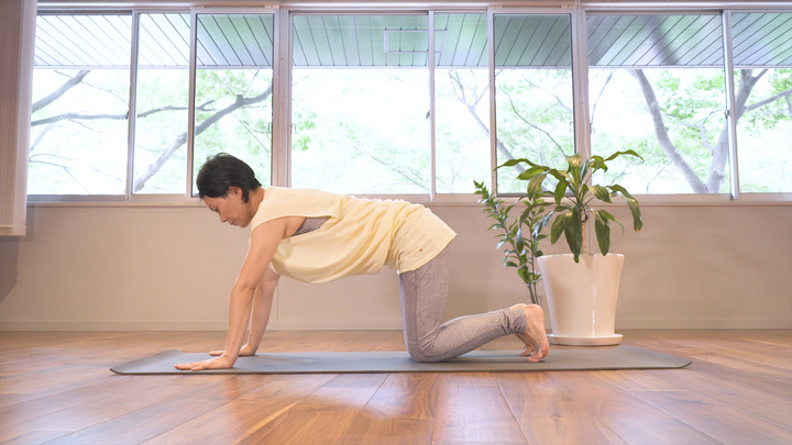 ふくらはぎスッキリヨガ 片脚のプランクポーズ でふくらはぎストレッチ ルトロン