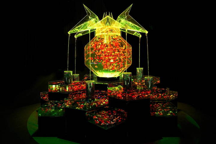 アートアクアリウム美術館 東京 日本橋にオープン ルトロン