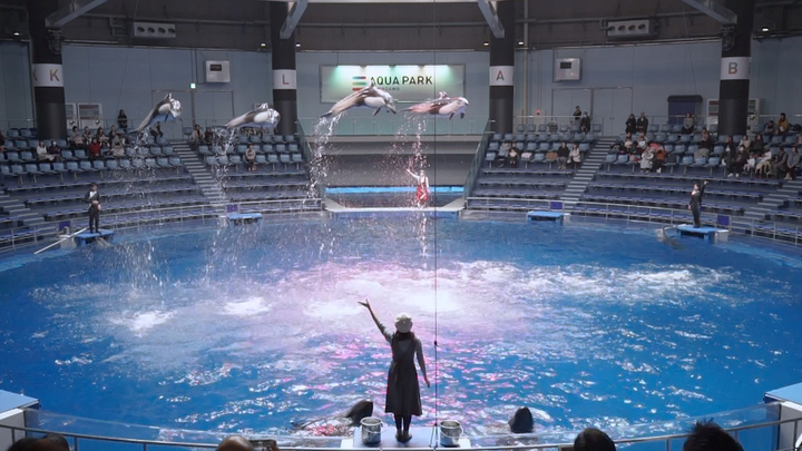 星降る海のクリスマス マクセル アクアパーク品川 で体験する最先端のエンターテイメント ルトロン