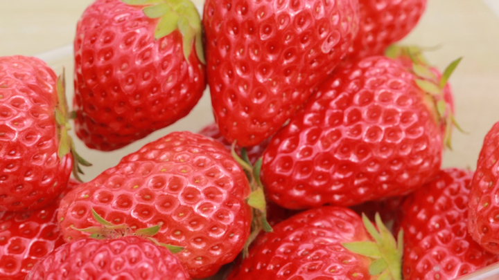 4月でもいちご狩りが楽しめる 原田いちごファーム で美味しいいちごを堪能しよう ルトロン