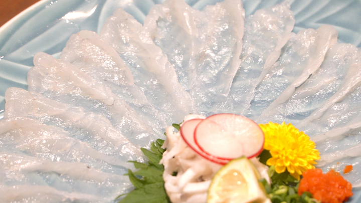 栃木県生まれ温泉育ちのトラフグ 海なし県が誇る名産品 温泉トラフグ に大注目 ルトロン