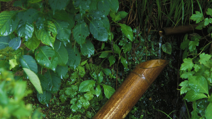 Jr東海のcmでお馴染み 美しい庭園が織り成す和の空間 京都 詩仙堂 ルトロン