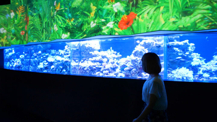 梅雨のストレス解消 癒しを感じる動植物イベント6選 ルトロン