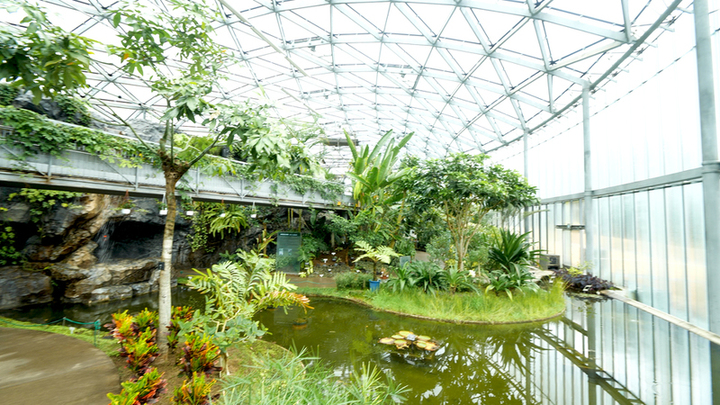 今が見どころ 東京 新宿御苑 早咲きの桜 寒桜で春を訪れを感じて ルトロン