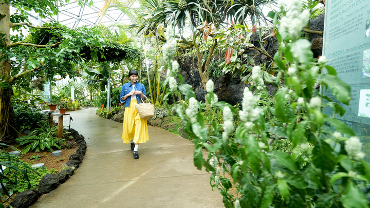 今が見どころ 東京 新宿御苑 早咲きの桜 寒桜で春を訪れを感じて ルトロン