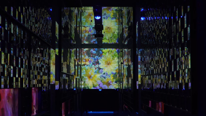 蜷川実花 すみだ水族館 の感動コラボ展 幻想的な魚と神秘的な世界観を堪能 ルトロン