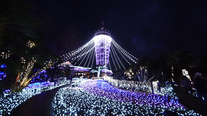 冬の江ノ電に揺られて 好きが見つかる日帰り散歩 江ノ島 鎌倉 ルトロン