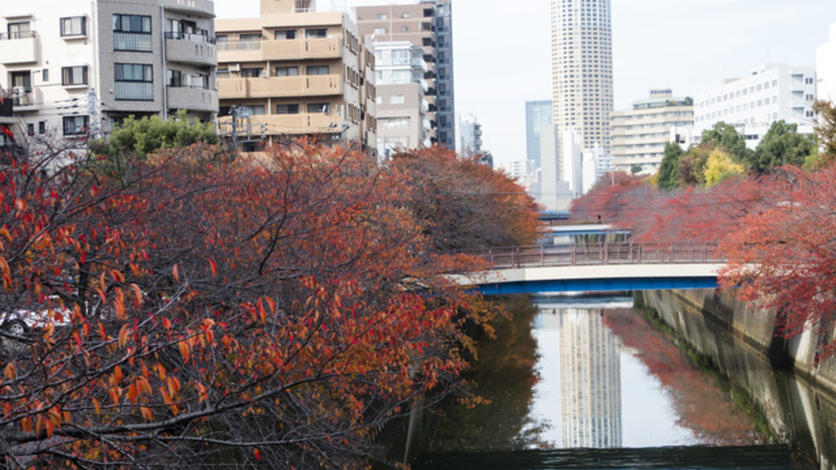 目黒川