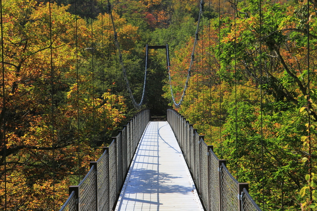 弁天吊橋 ルトロン 弁天吊橋 ルトロン