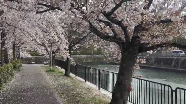 彼女が喜ぶインスタ映え 京都デートスポット ルトロン