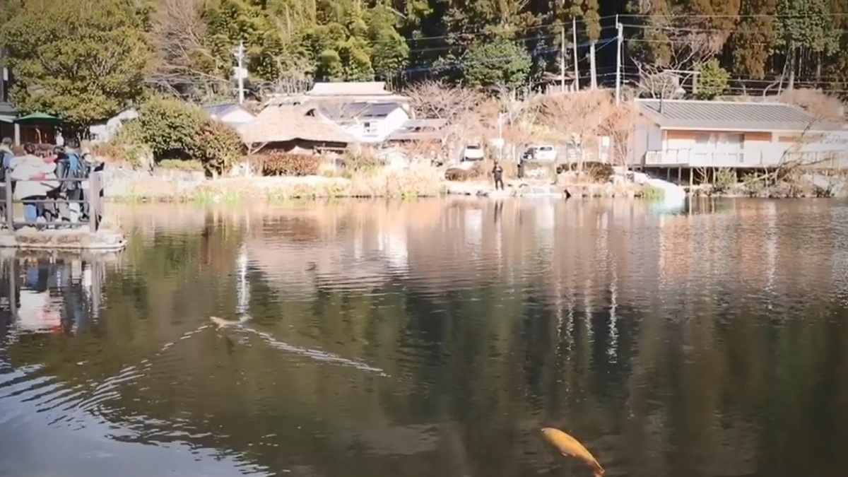 金鱗湖 ルトロン